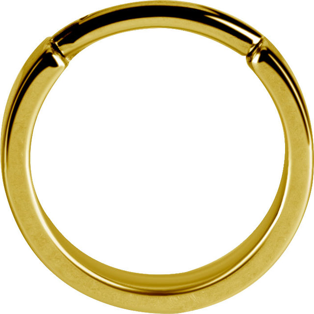 GD 316 HINGED RING (FLAT PROFILE)
