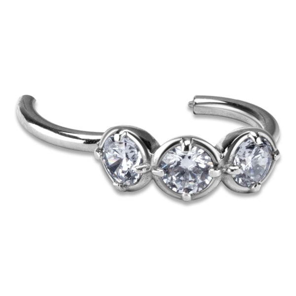 SS 316 HINGED RING W/ZIRCONIA mod.17