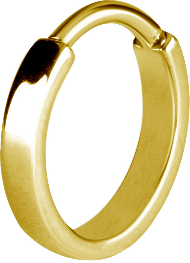 GD 316 HINGED RING (FLAT PROFILE)