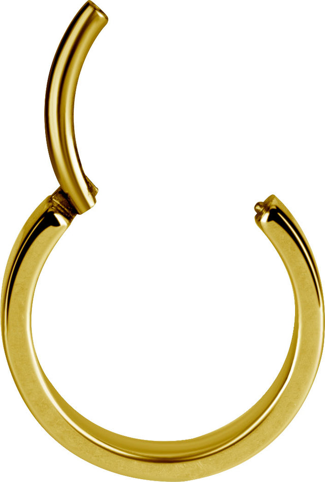 GD 316 HINGED RING (FLAT PROFILE)