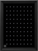 Bilderrahmendisplay mit 80 St. Clips