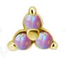 GD 316 int OPAL TRINITY ATTACHMENT