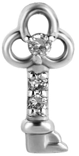 SS 316 CHARMS FOR SEGMENT RINGS - mod. 04