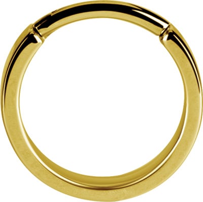 GD 316 PLAIN HINGED HOOPS