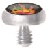 TT int PICTURE DISC 1,6x4mm