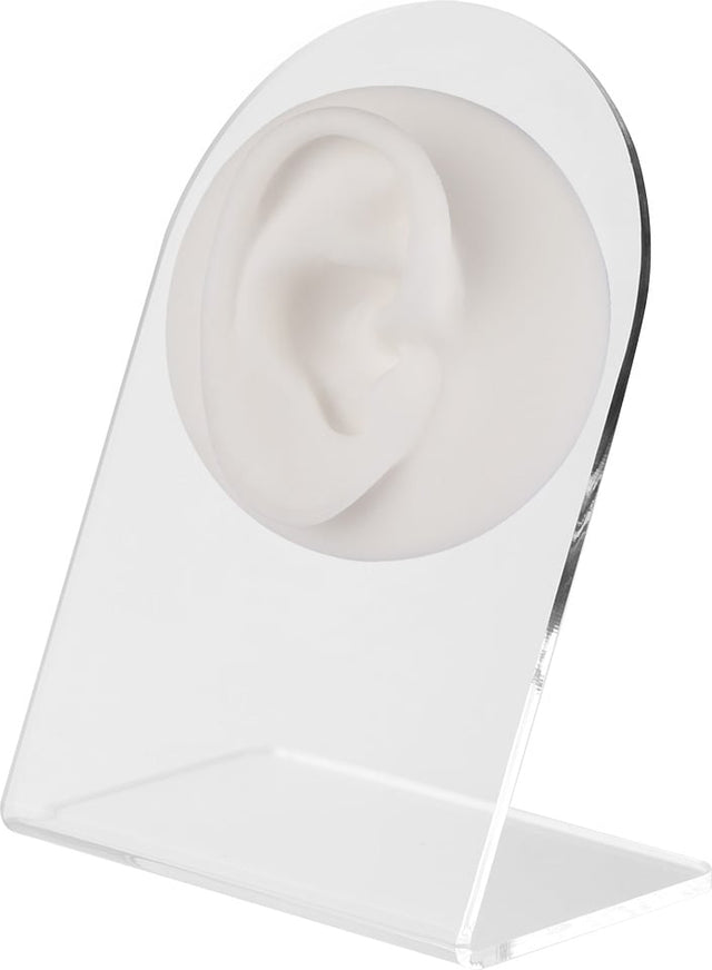 Anatomisches Ohr-Display (R) - Weiß