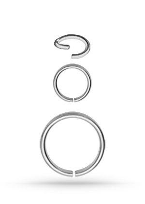 SS 316 CONTINUOUS RINGS